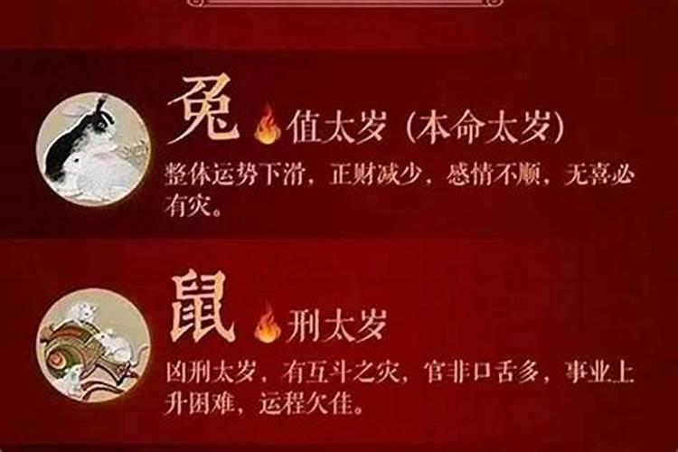 2025属蛇犯太岁注意什么