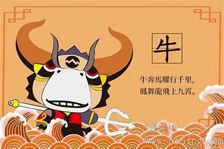 85年属牛11月初八婚姻命里