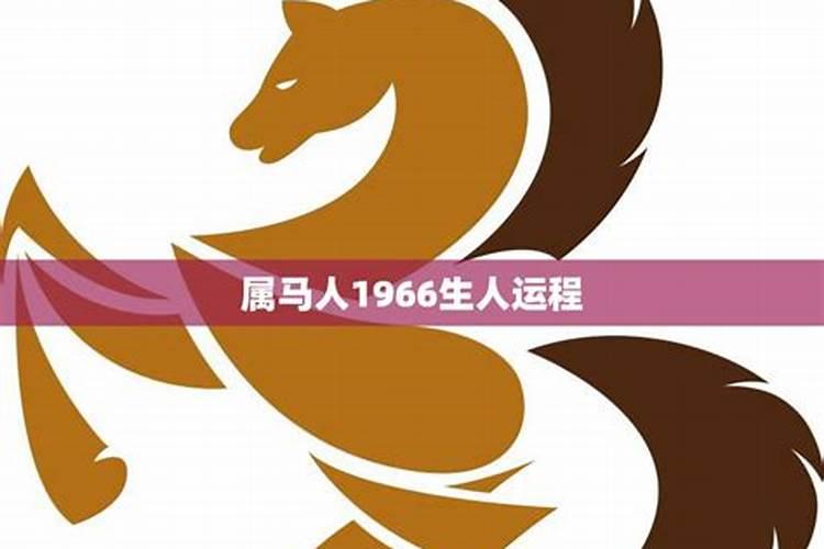 2025躲春虎可以见龙吗