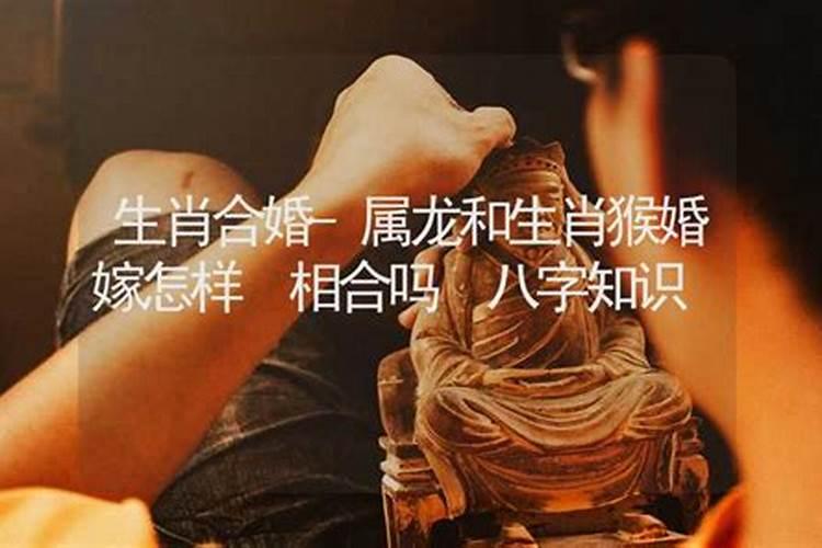 2025伞犯太岁的生肖