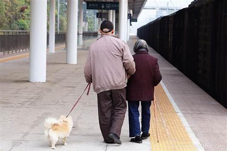 2025哪个犯太岁最严重