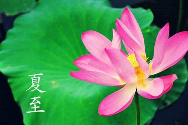 夏至是24节气的第几个节气