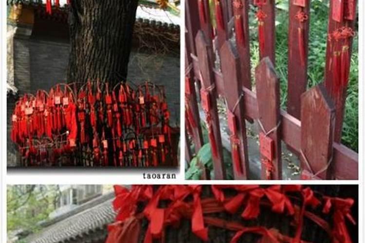 长治市创世纪情缘婚姻介绍所怎么样