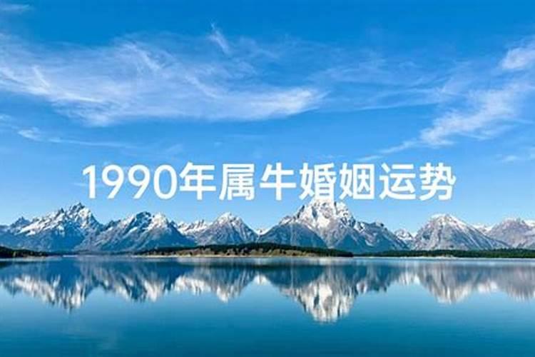 属牛2025年运程分析