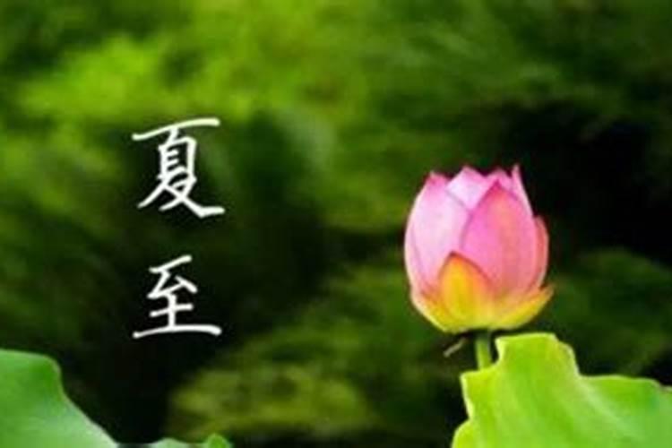 1945年属鸡人2024年运势及运程详解