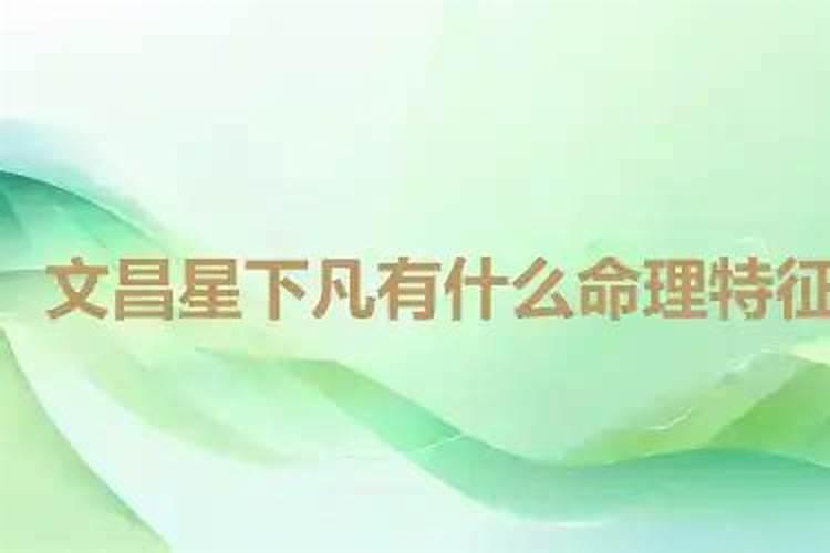 人们在盂兰会上放的花灯是什么类型的？