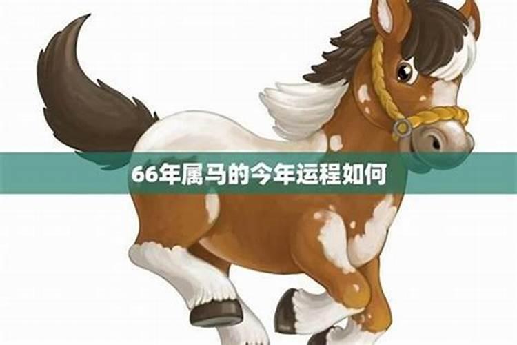 66年出生的马今年运势如何