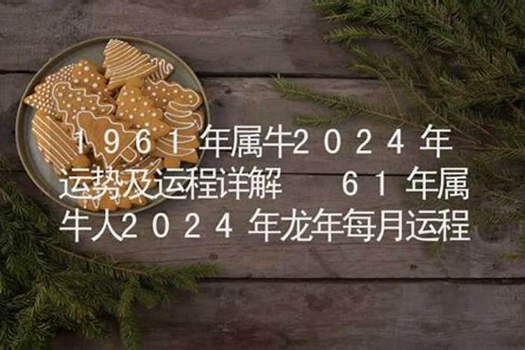 属牛人在2025年的运势怎样