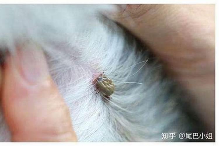 怎么查八字中的桃花,井水,红颜,流霞