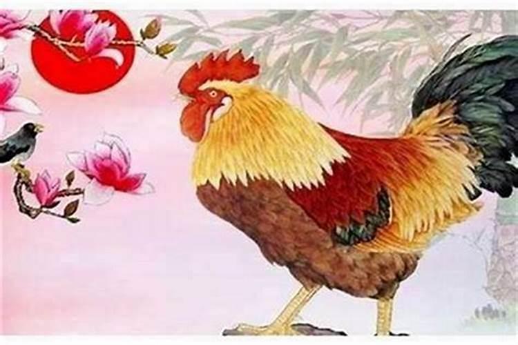 梦见蛇被砍成两段的预兆