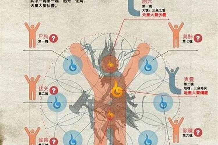 死人七天上望词