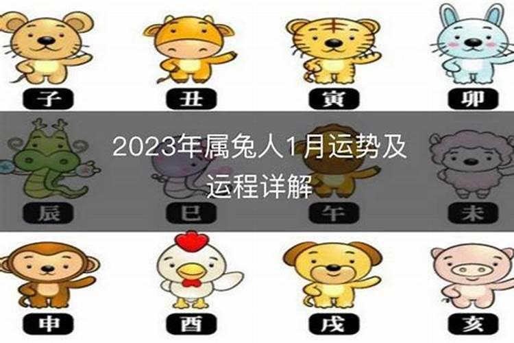 1999年属兔男士(26岁)2025年运势揭秘,看看每月的好运来袭
