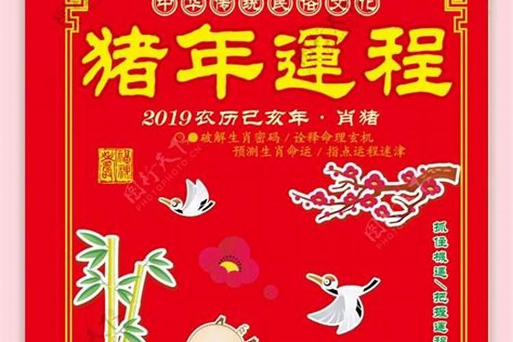 1995年属猪2025年运势