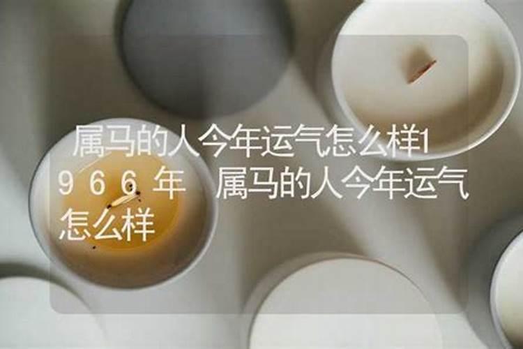66年属马的2025年运势怎么样