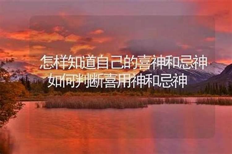 75年兔2025年运势完整版