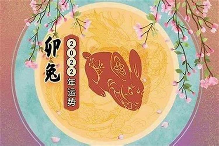 属兔2025年的运势及运程