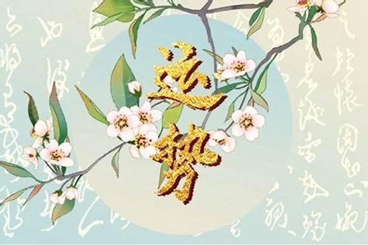 87年兔在2024年每月运势如何呢