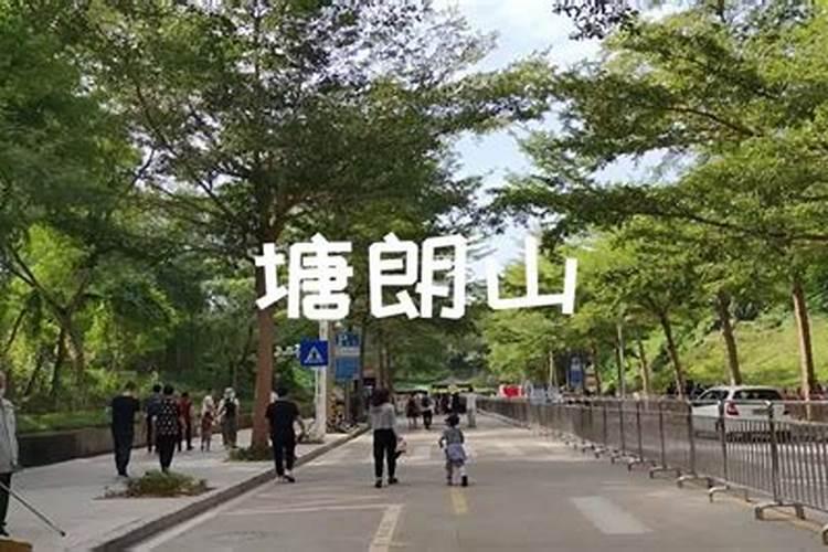 重阳节登高,深圳南山在哪里？