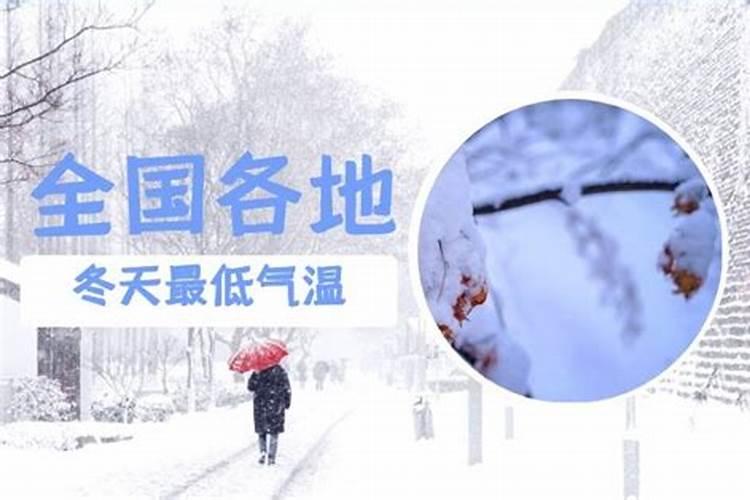 “春城无处不飞花”的出处是哪里