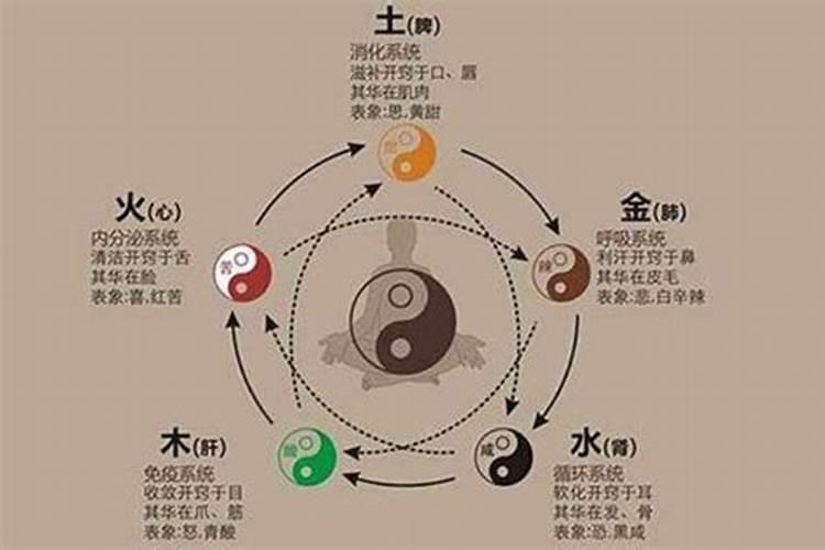 八字命理学中如何推断命主的身体健康与疾病灾祸