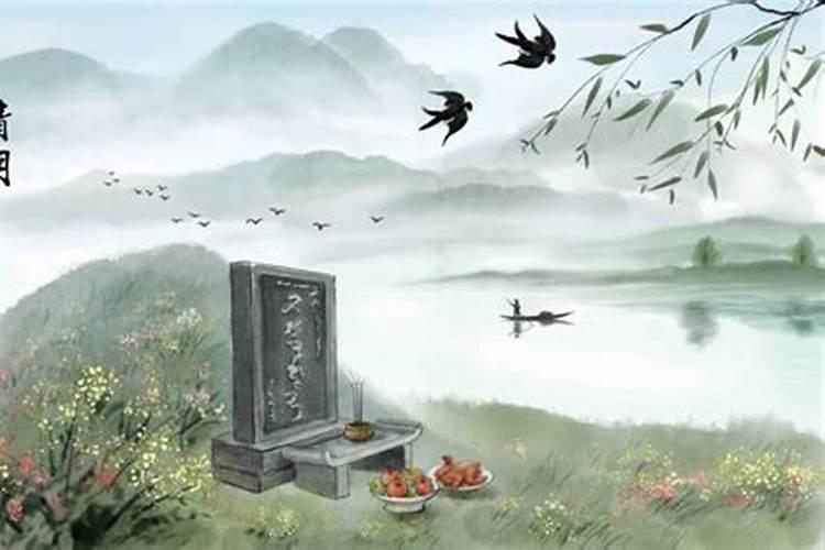 马蹄金烧纸的用途