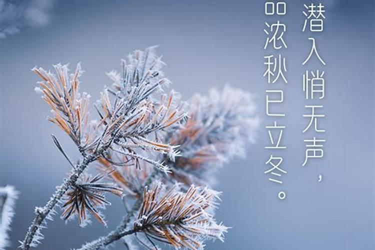 怎么查自己的大运流年