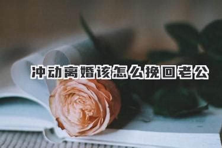 生肖羊2025年运势 属羊2025年运势及运程