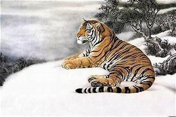 74年虎人今年明年有丧事吗 属虎人近两年运势如何