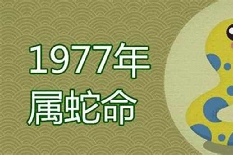 77年蛇男2025年运势