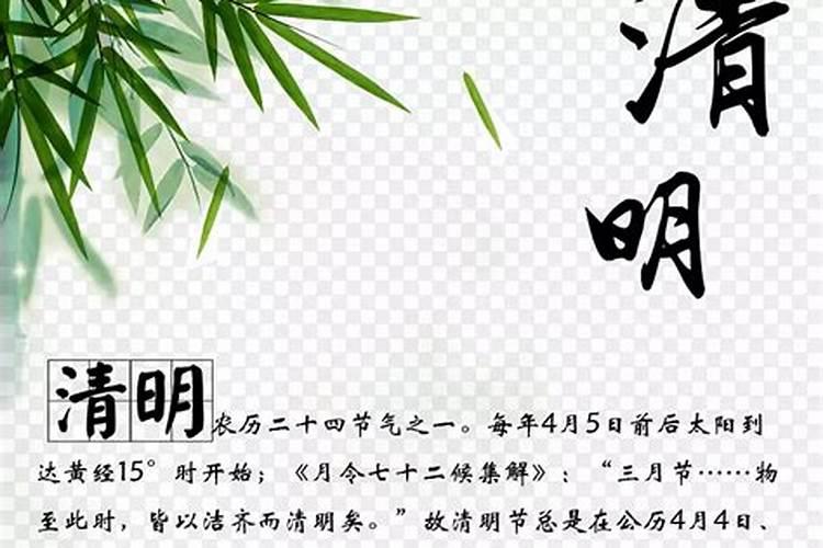 关于元旦的诗:元旦是春天