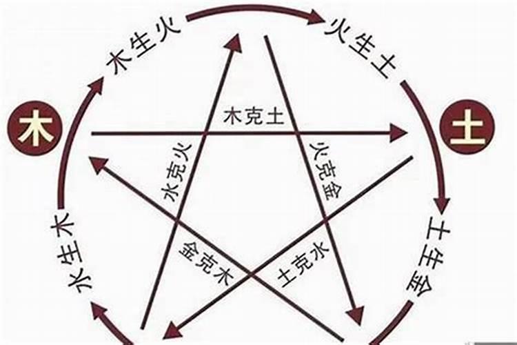 第一运程2025年4月20号属龙人打麻将财运
