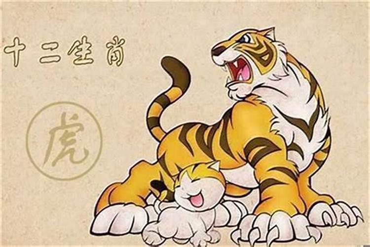 男属虎和女属鼠姻缘好吗