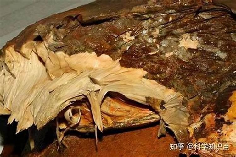 值太岁是什么意思