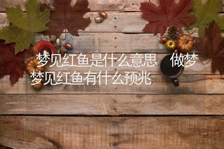 梦见大红鱼死而复生的预兆