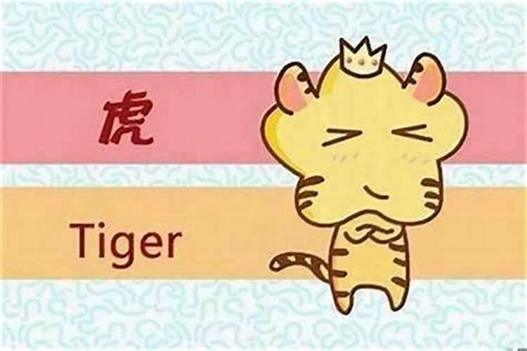2025蛇年犯太岁属相有哪几个