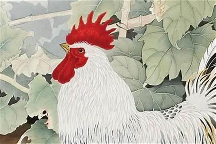 1969年属鸡2024年每月运势及运程