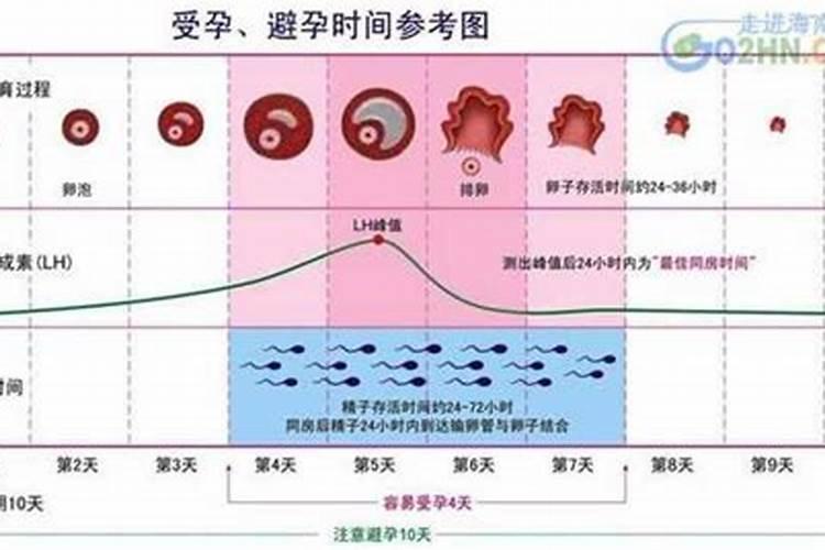 2025年十二生肖每月运势详解