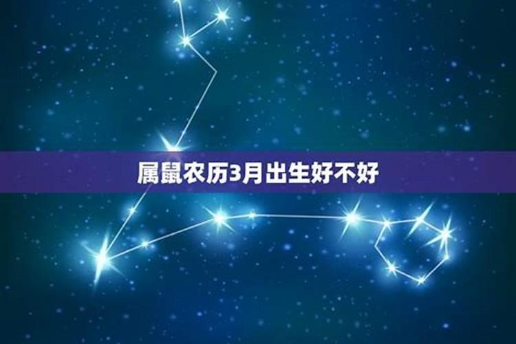 2025年1月28日属什么生肖
