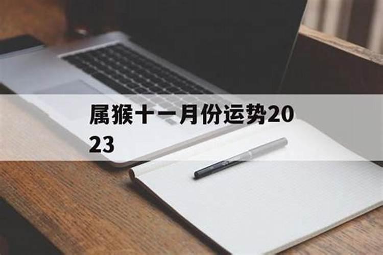 农历11月出生属猴人命好吗