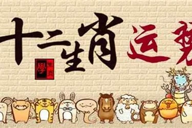 2025年属羊的是什么命