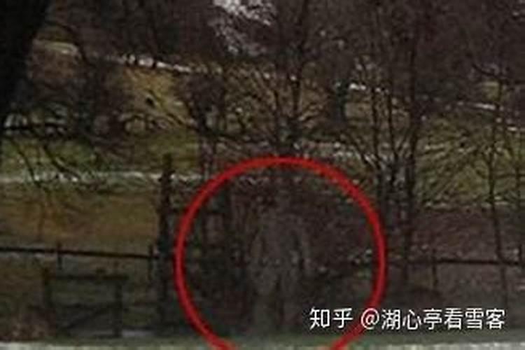 2.26什么星座