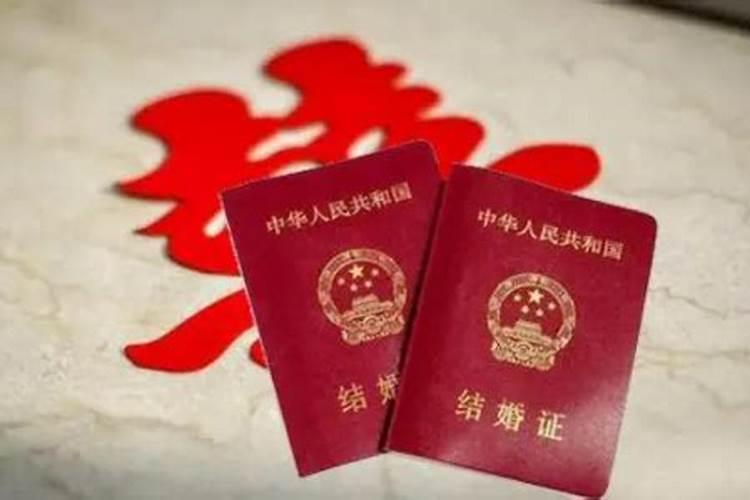 梦见好大一只巨大老鼠有什么预兆