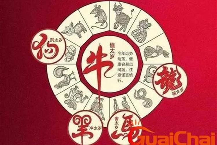 庚辛日柱癸卯年揭秘流年运势的深层解读