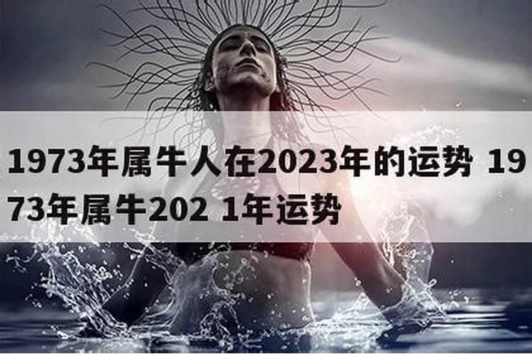 1973年属牛女士[52岁]2025年运势深度分析,掌握每月的关键机会