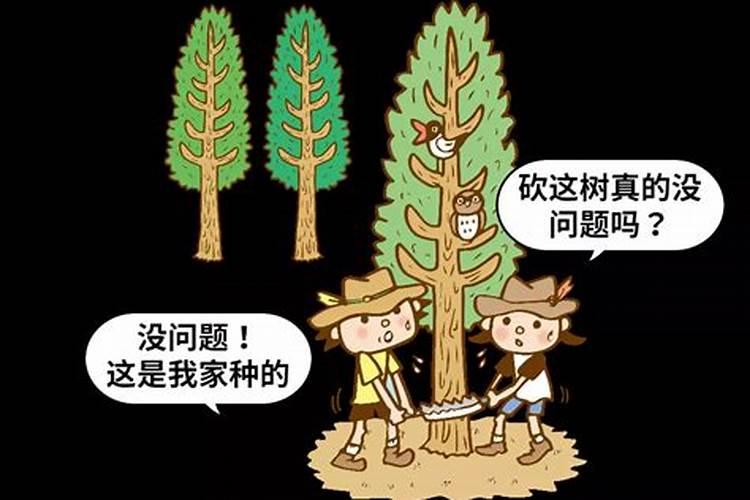 2024年农历十月初一砍树吉日 2024年11月1日砍树行吗