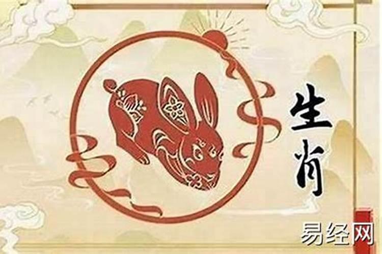 24年属兔的总体运程每月运程详解