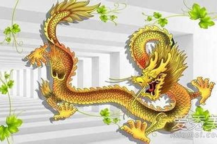 属龙的几月出生命不好