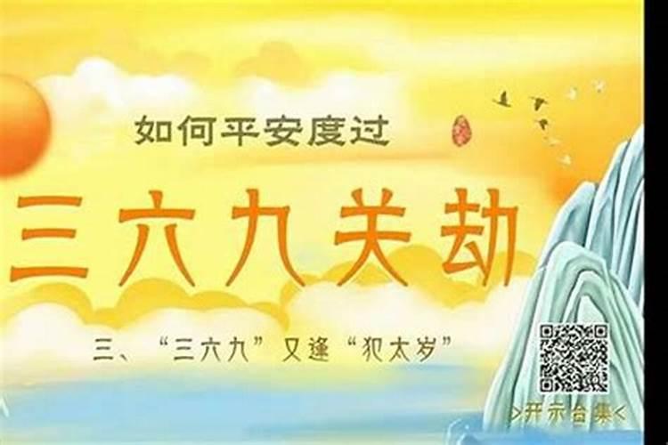 十月出生的狗女命运是什么 不同出生月份属狗人的行运