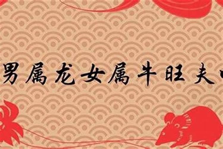 牛龙属相婚配可以吗