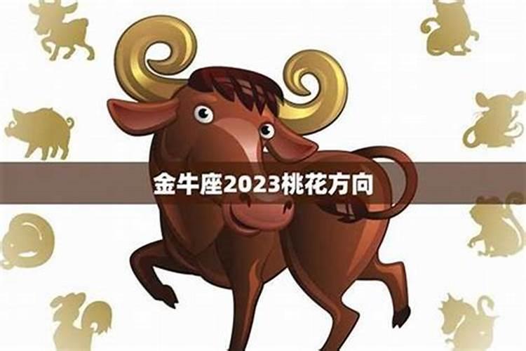 金牛座2025年每月运势